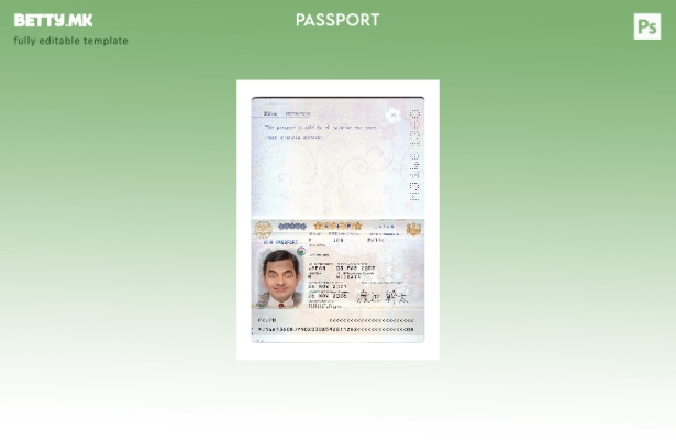 Модерен стилски шаблон за јапонски пасош